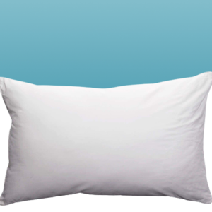 Polyester Pillow