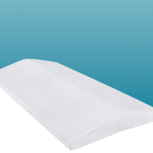 Lower Back Pillow